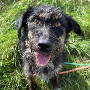 Polly – PS in 93309 Kelheim