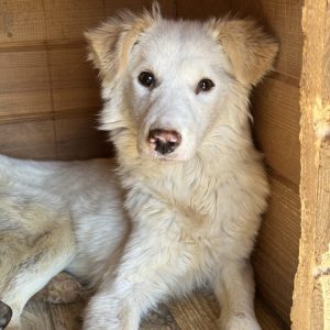 Reisebericht Rumänien – Oktober 2025