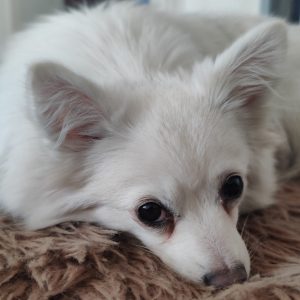 Lumi – PS in 59821 Arnsberg