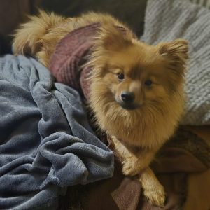 Nala – PS in 57074 Siegen