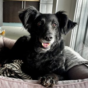 Fiby – PS in 59821 Arnsberg