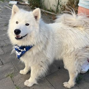 Kenai