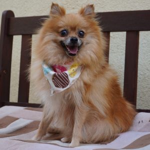 Tina