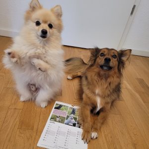Kalender 2027