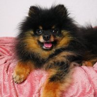 Edited with Afterlight