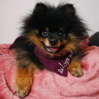 Edited with Afterlight