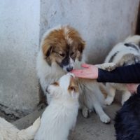 oplus_1048626