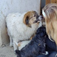 oplus_1048626