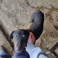 oplus_1048608