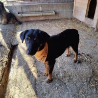 oplus_1048608