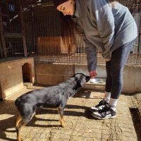 oplus_1048608