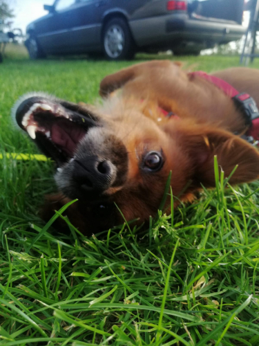 Rita