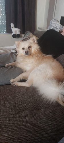 Bilbo