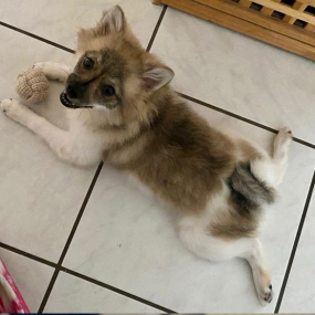 Bonnie