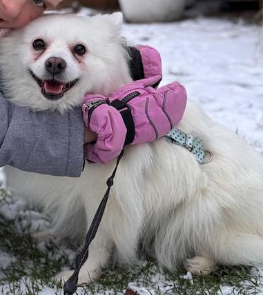 Elsa